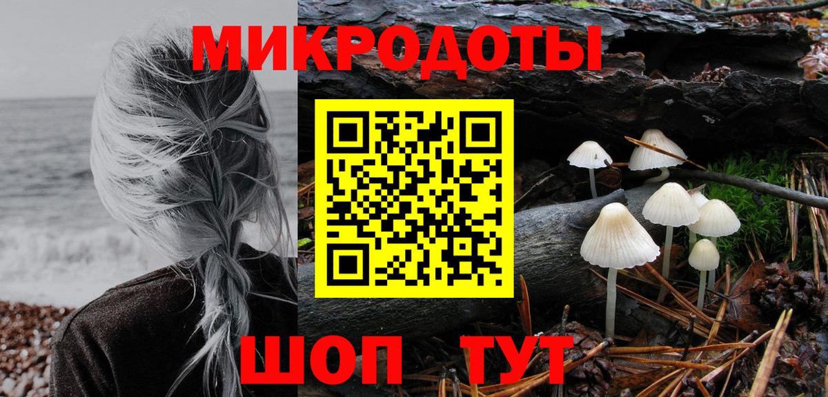 Псилоцибиновые грибы Cubensis Чапаевск