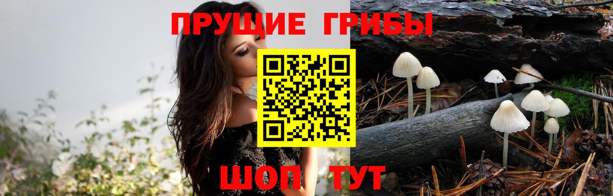 Чапаевск  Псилоцибиновые грибы GOLDEN TEACHER  Галлюциногенные грибы мухоморы  где продают   Вход с VPN 
